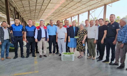 Nazilli'de kaliteli incir için kaliteli ilek denetimleri sürüyor