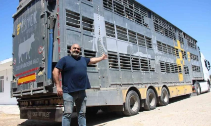 Türk mühendislerin tasarladığı bu araçla, canlı hayvan naklinde 5 yıldızlı konfor dönemi başladı