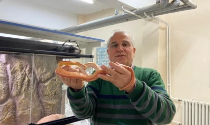 Yılan Müzesi, 185 sürüngen türüyle eğitim ve araştırma merkezine dönüştü