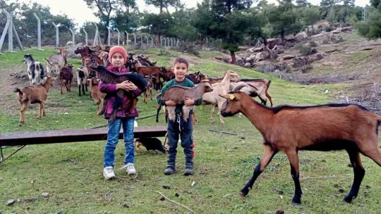 'Kavşit Köyü ve Yöresi Keçicilik Projesi' devam ediyor