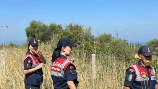 'Tülüşah' bitikisine zarar veren 557 bin lira ceza ödeyecek