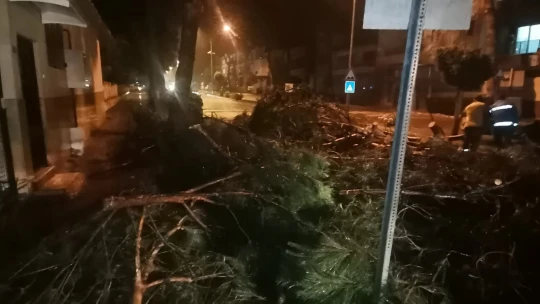 Nazilli'de bilanço belli oldu
