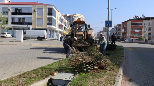 Nazilli çiçek gibi oluyor