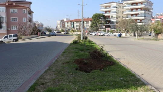 Nazilli çiçek gibi oluyor