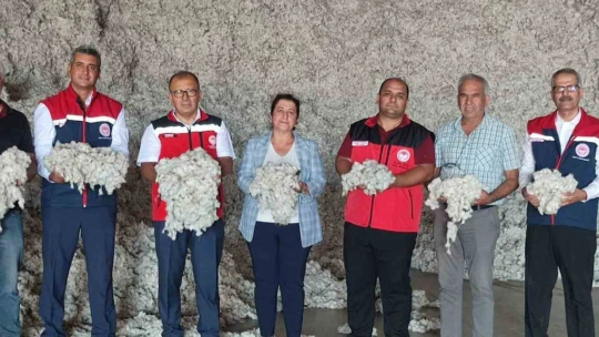 AB tescilli Söke Pamuğu hasadı sürüyor