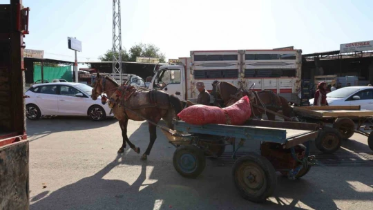 Acarlar'da eli ayağı tutan herkes çalışıyor