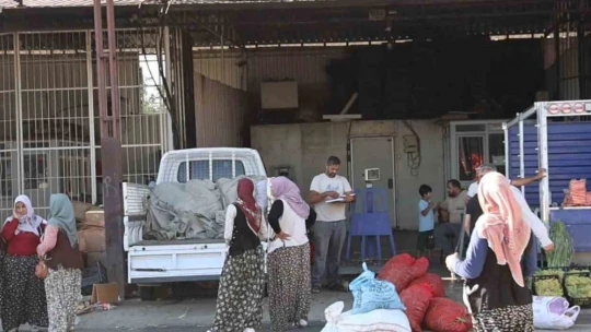 Acarlar'da eli ayağı tutan herkes çalışıyor