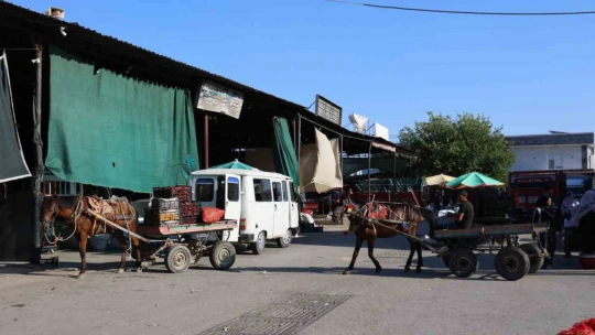 Acarlar'da eli ayağı tutan herkes çalışıyor