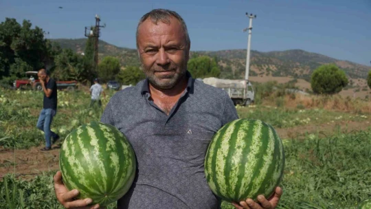 Adana'nın sıcağı Aydın'a yaradı
