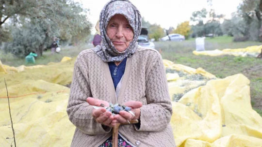 Adı üstünde eski toprak