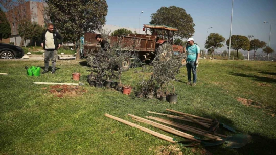 ADÜ, araştırma üniversitesi olma yolunda hıza ilerliyor