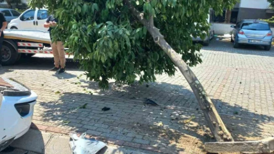 Ağaca çarpıp takla atan otomobil ters döndü: 2 yaralı