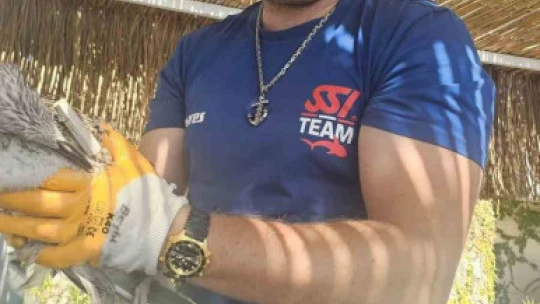 Ağzına misina dolanan kuş kurtarıldı
