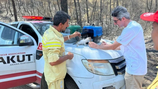 AKUT Kuşadası ekibi, orman yangının ardından hayvanlara destek sağladı