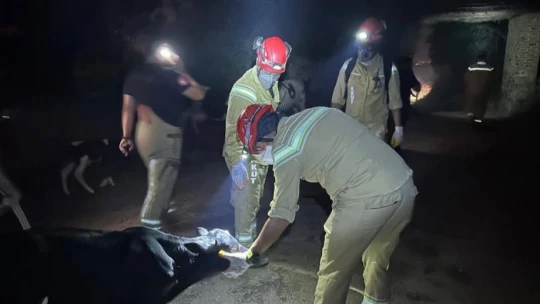 AKUT Kuşadası, İzmir'deki orman yangınlarına müdahale çalışmalarına destek veriyor