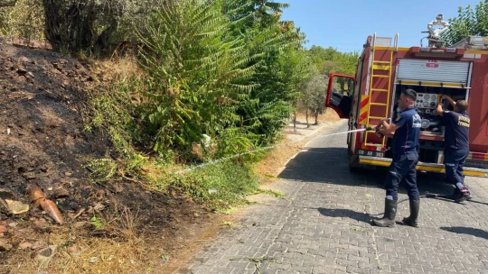 Alevlerin antik kente ulaşmasını itfaiye ekiplerinin hızlı müdahalesi önledi