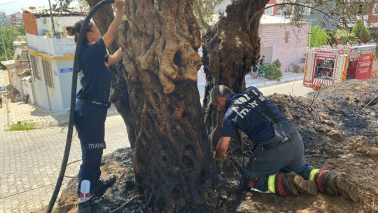 Alevlerin antik kente ulaşmasını itfaiye ekiplerinin hızlı müdahalesi önledi