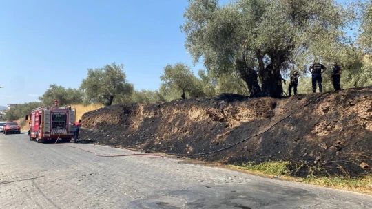 Alevlerin antik kente ulaşmasını itfaiye ekiplerinin hızlı müdahalesi önledi