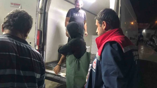 Altınkum iskelesinde 'Hamsi' denetimi yapıldı