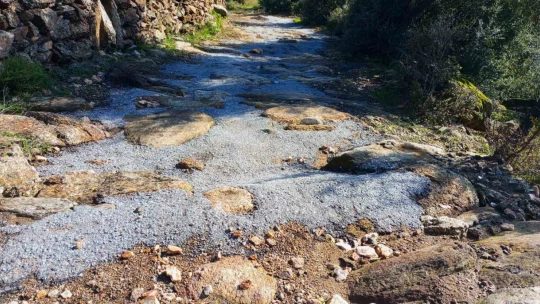 Antik yola beton döktüler