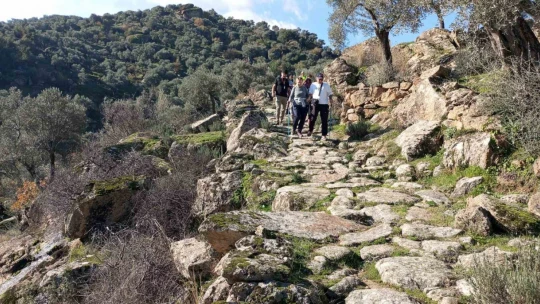 Antik yola beton döktüler