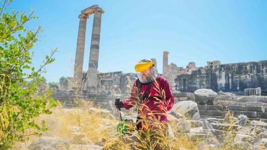 Apollon Tapınağı'nda gece ziyaretleri için hazırlıklar sürüyor