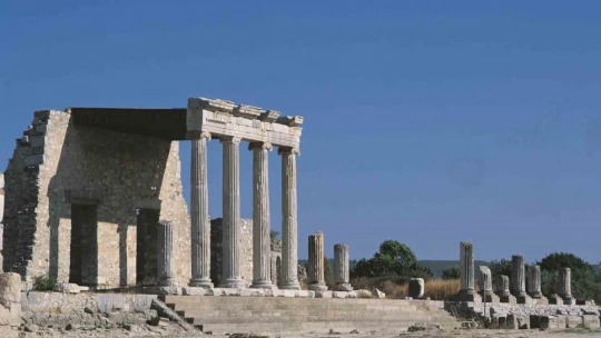 Apollon ve Milet'in Unesco Dünya Kültür Mirası'na girmesi için çalışmalar devam ediyor