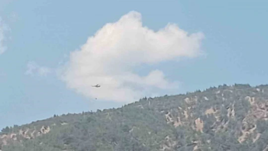 Araçtan çıkan yangın ormana sıçradı