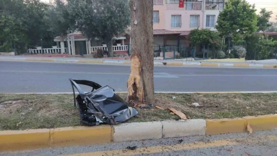 Aşırı hız nedeniyle virajı alamayan otomobil orta refüjdeki ağaca çarptı