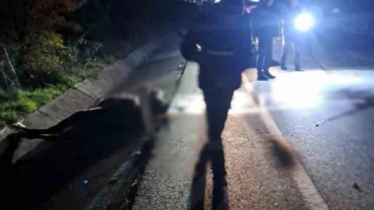 Ata çarpan motosiklet sürücüsü hayatını kaybetti