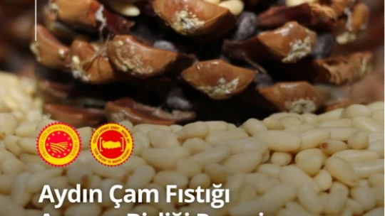 ATB tarafından başvurusu yapılan Aydın Çam Fıstığı Avrupa Birliği'nde ilan edildi