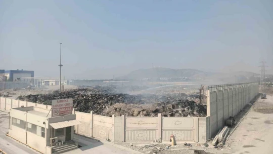Avrupa'nın en büyük tesisi kül dağına döndü