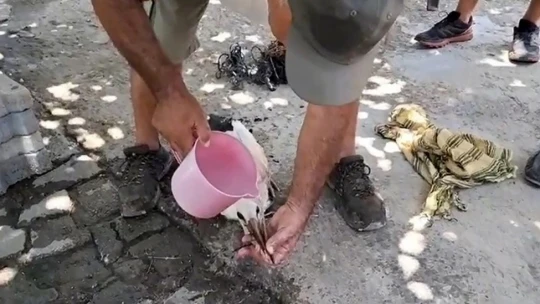 Ayağına ip dolanan leyleği muhtarın dikkati kurtardı