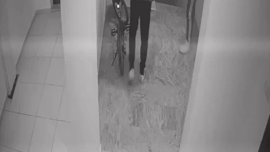 Ayakkabı hırsızları kameralara yakalandı