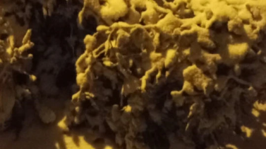 Aydın'a yılın ilk karı yağdı