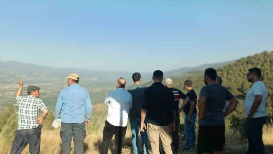 Aydın Bozdoğan'daki orman yangını kontrol altına alındı