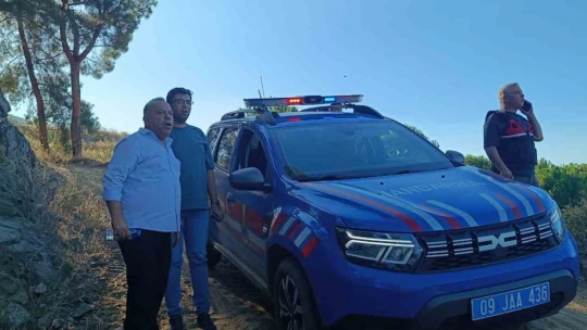 Aydın Bozdoğan'daki orman yangını kontrol altına alındı