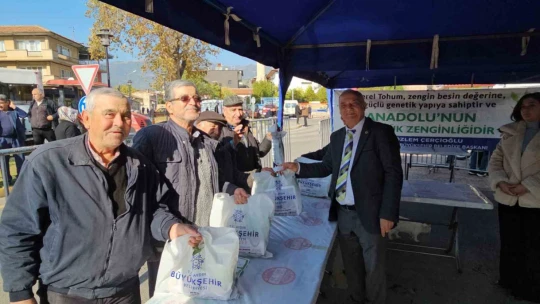 Aydın BŞB Sultanhisar'da 15 bin adet fide dağıttı