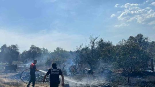 Aydın Büyükşehir Belediyesi İtfaiyesi'nden hızlı müdahale