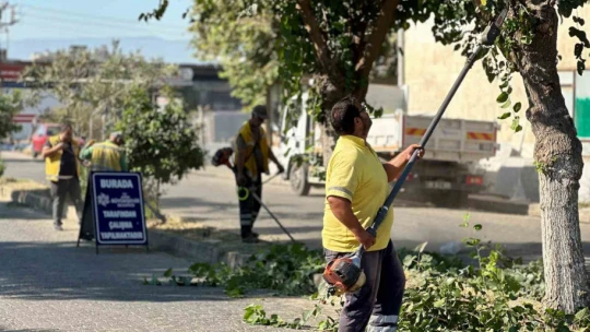 Aydın Büyükşehir Belediyesi'nden çevre bakımı seferberliği
