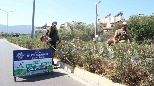 Aydın Büyükşehir Belediyesi'nden çevre bakımı seferberliği