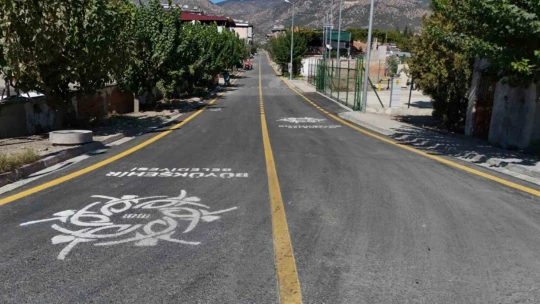Aydın Büyükşehir Belediyesi'nden Buharkent'te yol hamlesi