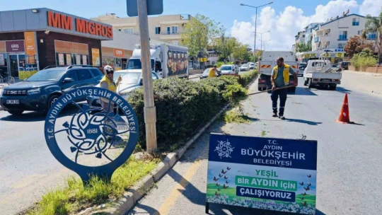 Aydın Büyükşehir'den Didim'e estetik dokunuş