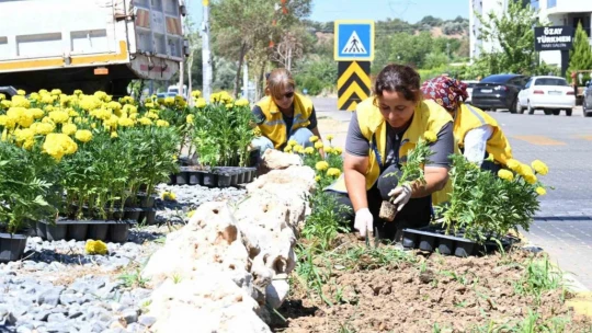 Aydın Büyükşehir'den Nazilli'de temizlik ve peyzaj çalışması