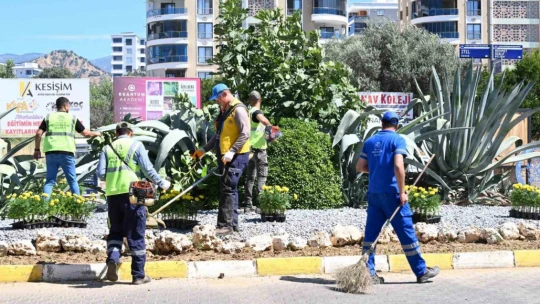 Aydın Büyükşehir'den Nazilli'de temizlik ve peyzaj çalışması