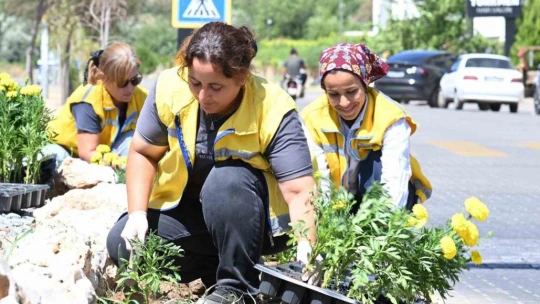Aydın Büyükşehir'den Nazilli'de temizlik ve peyzaj çalışması