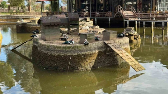 Aydın Büyükşehir'den Sümerpark'ta kapsamlı temizlik ve bakım çalışması