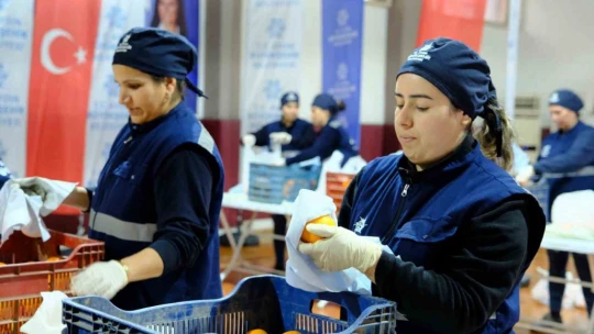 Aydın Büyükşehir'den üreticiye destek