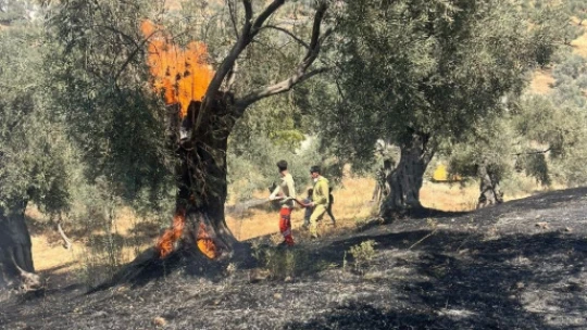 Aydın Büyükşehir İtfaiyesi 2 günde 55 yangına müdahale etti