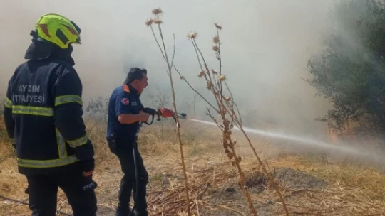 Aydın Büyükşehir İtfaiyesi 2 günde 55 yangına müdahale etti
